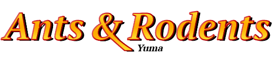 Yuma Ant Exterminator & Rodent Control Company Logo
